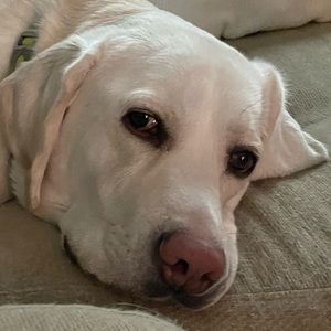 Meet your Posher, Lorena